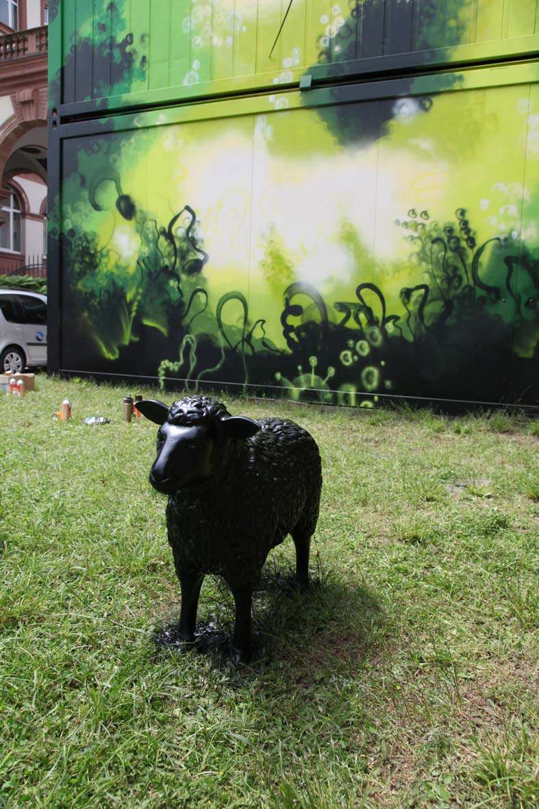 schwarzes-schaf-black-sheep