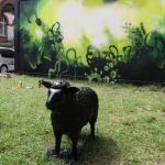 schwarzes-schaf-black-sheep
