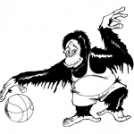 Affe Basketball 1999